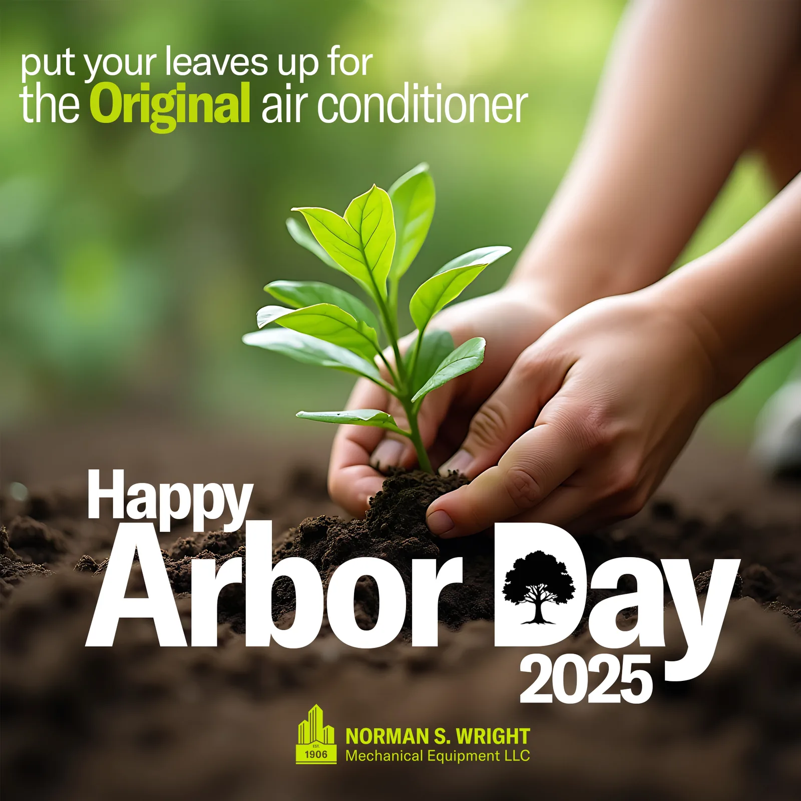 Hands planting a green sapling in dark soil, with the text Happy Arbor Day 2025 and the Norman S. Wright logo.